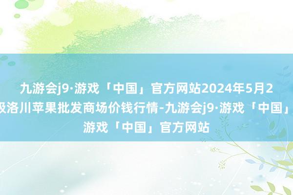 九游会j9·游戏「中国」官方网站2024年5月28日国度级洛川苹果批发商场价钱行情-九游会j9·游戏「中国」官方网站