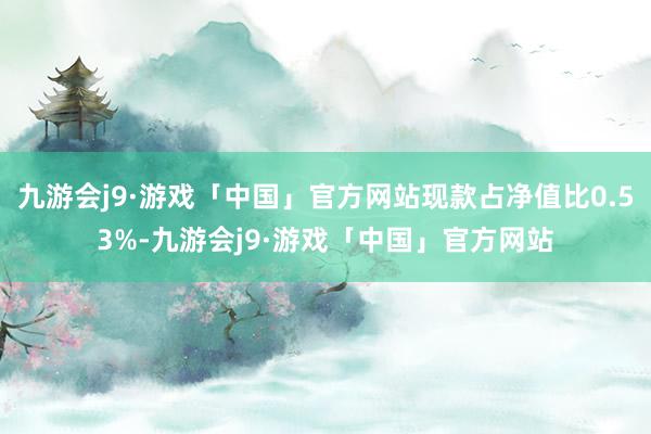 九游会j9·游戏「中国」官方网站现款占净值比0.53%-九游会j9·游戏「中国」官方网站