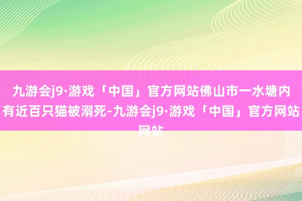 九游会j9·游戏「中国」官方网站佛山市一水塘内有近百只猫被溺死-九游会j9·游戏「中国」官方网站